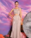 Moonlit Elegance Draped Saree